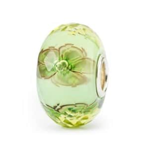 tglbe-30080 Gelsomino