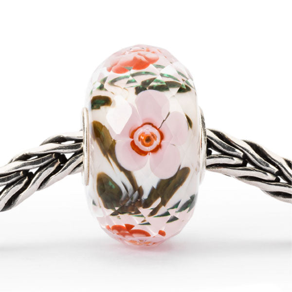 tglbe-30085 Forza e dolcezza