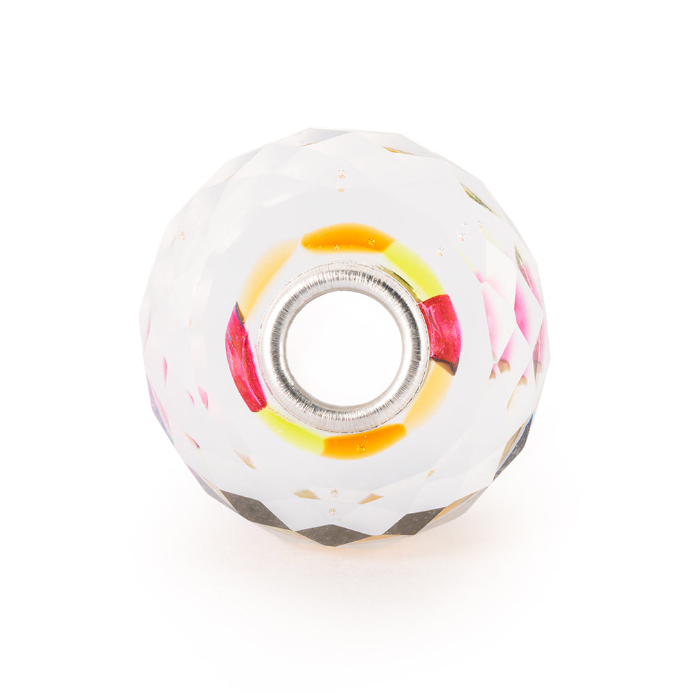 tglbe-30108 Reflections of Past and Present