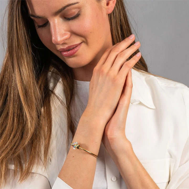 tglbe-30126 Buoni propositi 2024