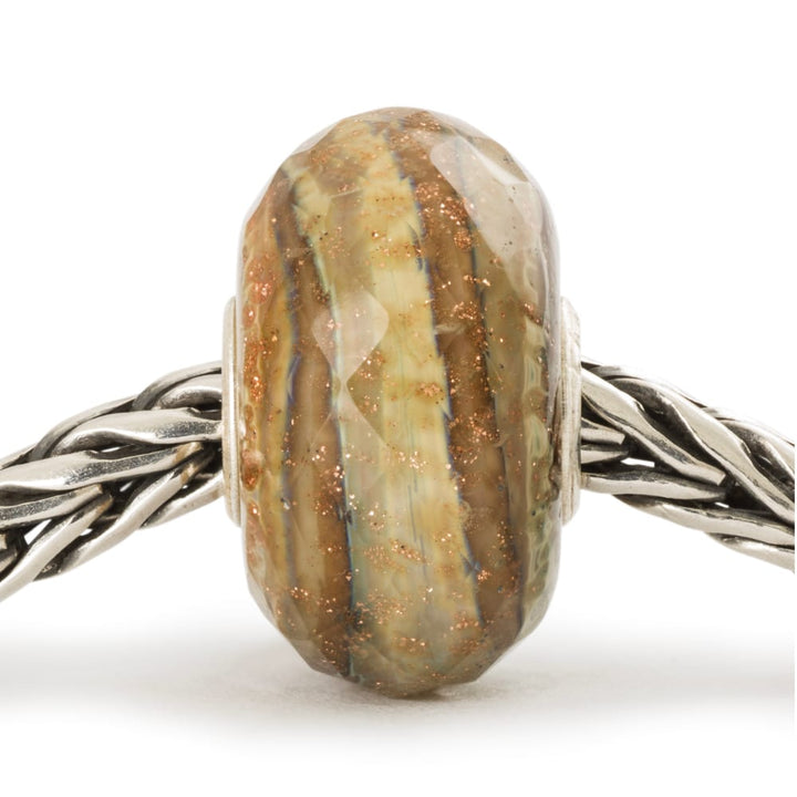 tglbe-30141 Ricordi dorati