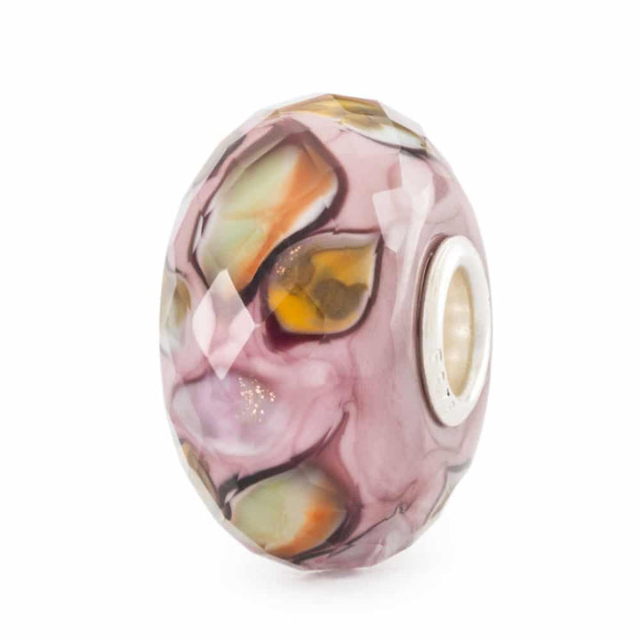 tglbe-30147 Colors of Life