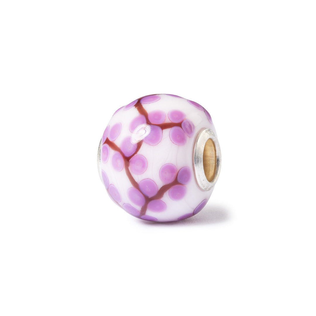boccioli di hanami
