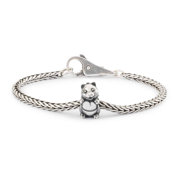 tagbe-20256 Passiflora