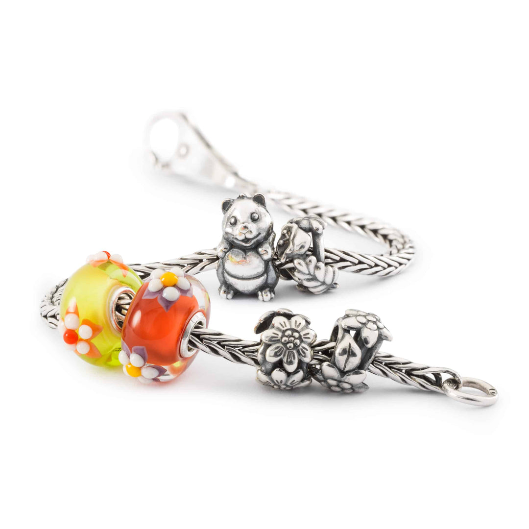 tagbe-20256 Passiflora